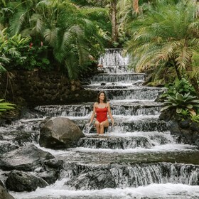 Recorrido por las aguas termales del Arenal y la cascada de La Fortuna