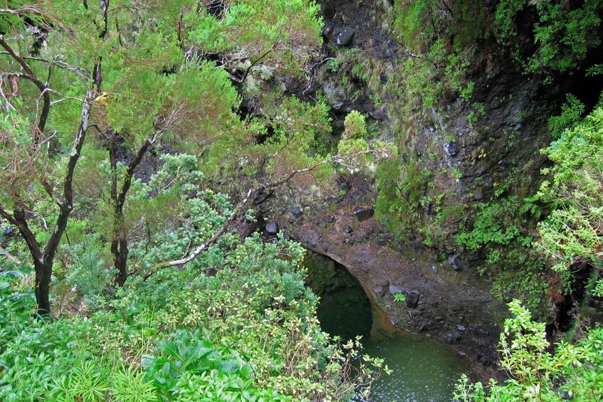 Picture 5 for Activity Madeira Walks - Rabaçal and the 25 Fountains