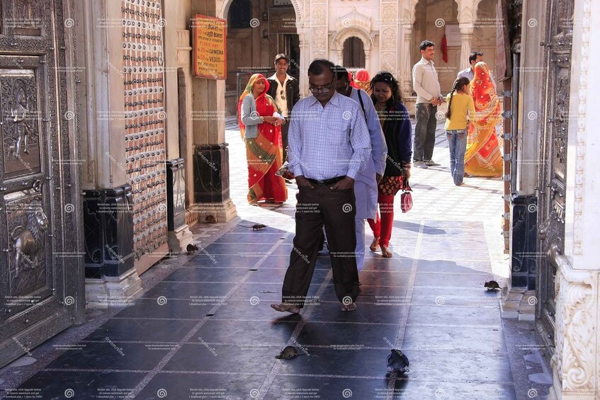 Picture 31 for Activity Visit Junagarh Fort, Rat Temple & Jodhpur Drop from Bikaner