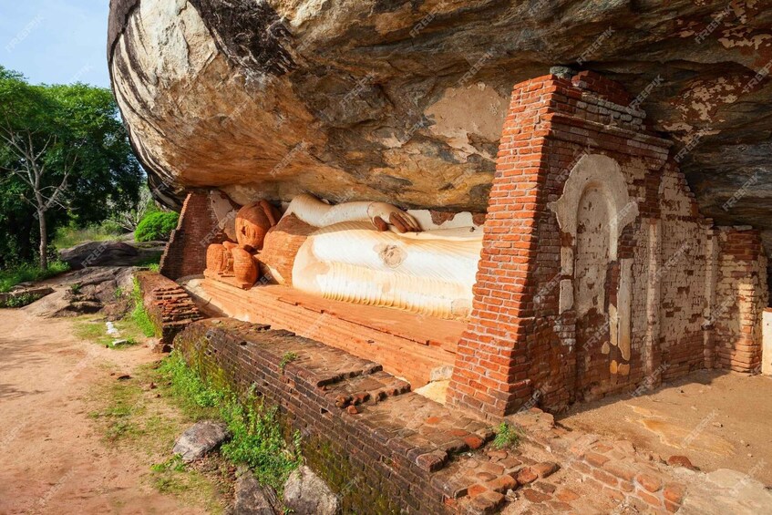 Picture 3 for Activity Colombo: Pidurangala and Dambulla Cave Temple from Colombo