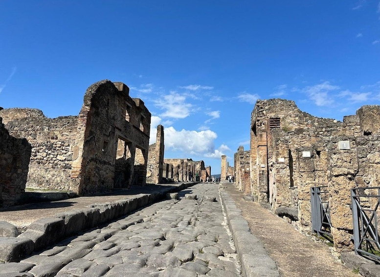 Picture 29 for Activity Pompeii: Small-Group Guided Tour with Skip-the-Line Ticket