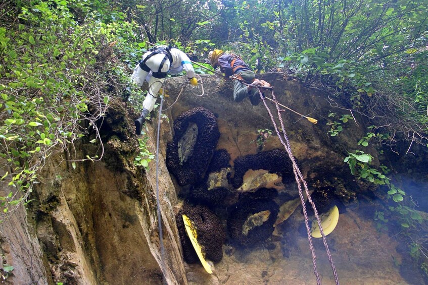 Picture 3 for Activity From Kathmandu: 5 Day Honey Hunting Tour (Lumjung)