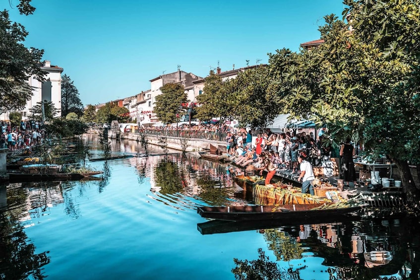 Picture 2 for Activity A day in Provence: Les Baux de Provence, Saint Rémy and more