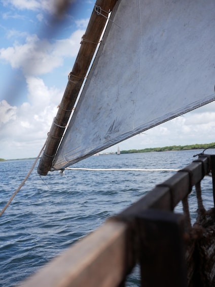 Picture 6 for Activity Private Dhow Cruise Lamu (Daytrip): Kipungani Beach/Kizingo