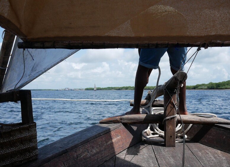 Picture 5 for Activity Private Dhow Cruise Lamu (Daytrip): Kipungani Beach/Kizingo