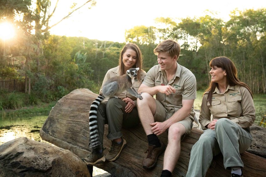 Picture 6 for Activity From Sunshine Coast: Australia Zoo Entry Ticket and Transfer