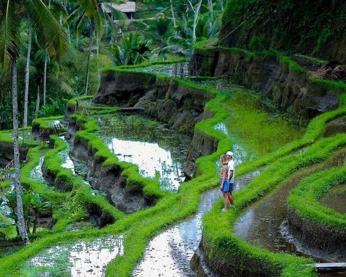 Picture 5 for Activity Bali: Goa Gajah, Tegenungan Waterfall & Neka Museum Day Tour