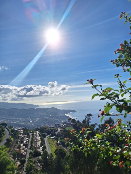 Picture 6 for Activity From Funchal: Private Full Day West Tour