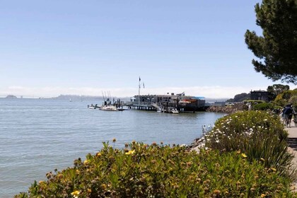 San Francisco: Biaya Masuk Muir Woods dan Sausalito Sudah Termasuk