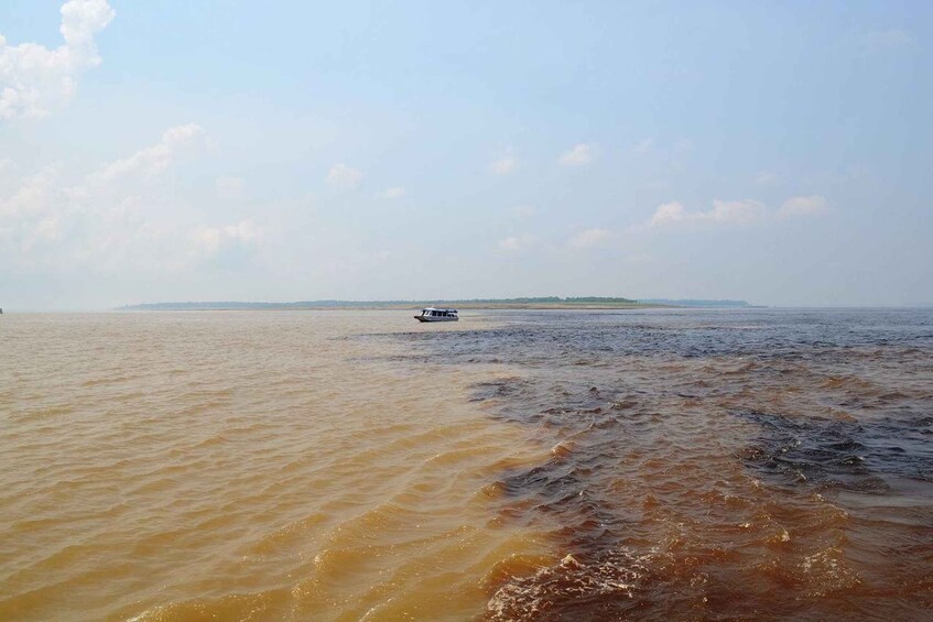 Picture 8 for Activity From Manaus: 3 or 4-Day Rio Negro & Anavilhanas River Cruise