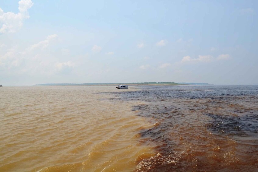 Picture 8 for Activity From Manaus: 3 or 4-Day Rio Negro & Anavilhanas River Cruise