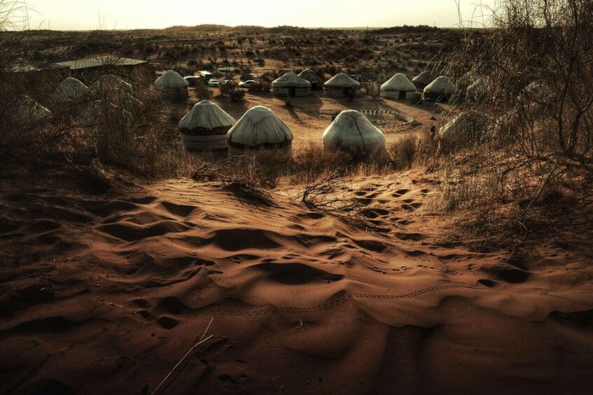 Picture 15 for Activity Life As Nomads - Yurt Camp Tour with Night from Samarkand