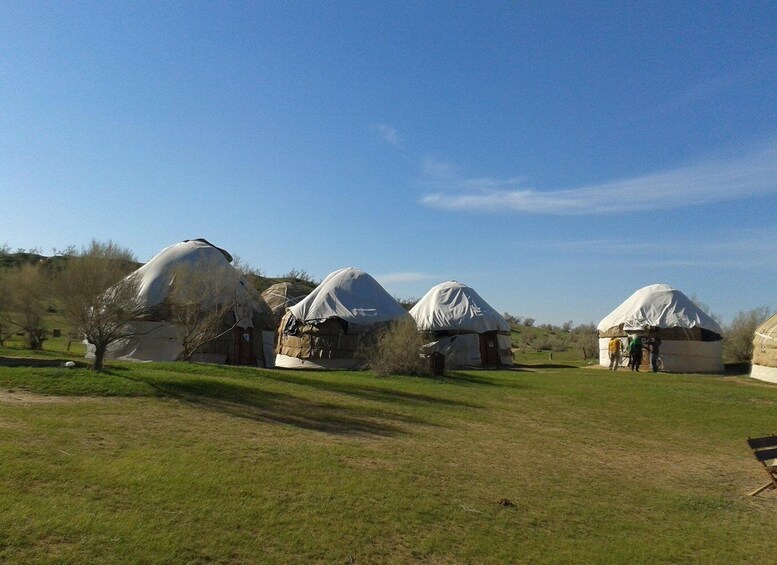 Picture 4 for Activity Life As Nomads - Yurt Camp Tour with Night from Samarkand