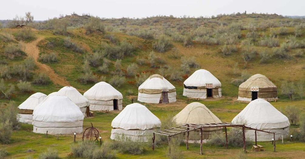 Picture 11 for Activity Life As Nomads - Yurt Camp Tour with Night from Samarkand