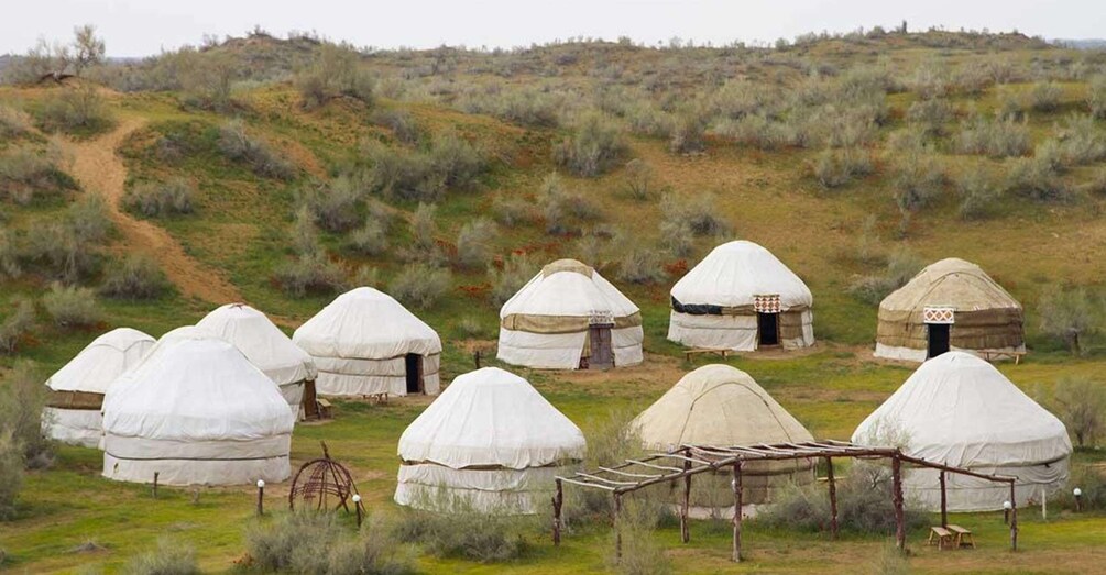 Picture 11 for Activity Life As Nomads - Yurt Camp Tour with Night from Samarkand