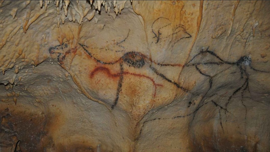 Picture 3 for Activity Sarlat : Private Tour to an Original Prehistoric Cave