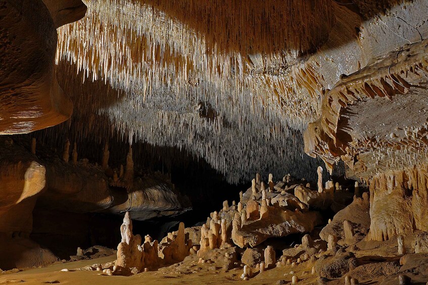 Picture 2 for Activity Sarlat : Private Tour to an Original Prehistoric Cave