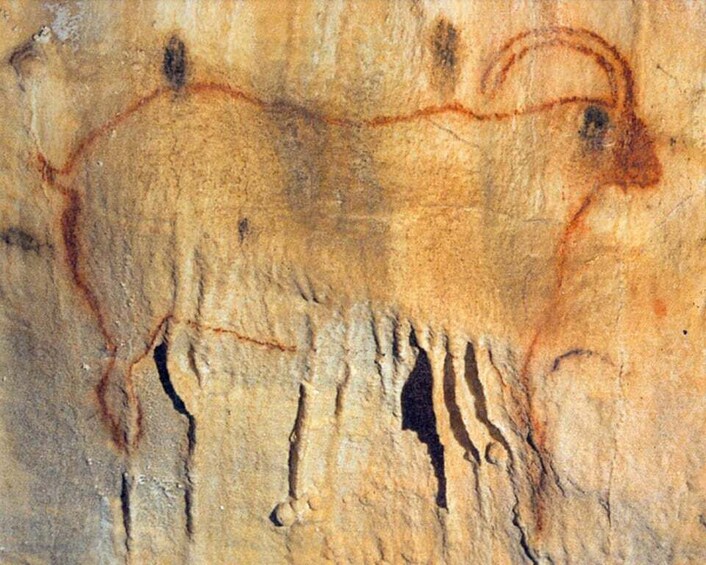 Picture 1 for Activity Sarlat : Private Tour to an Original Prehistoric Cave