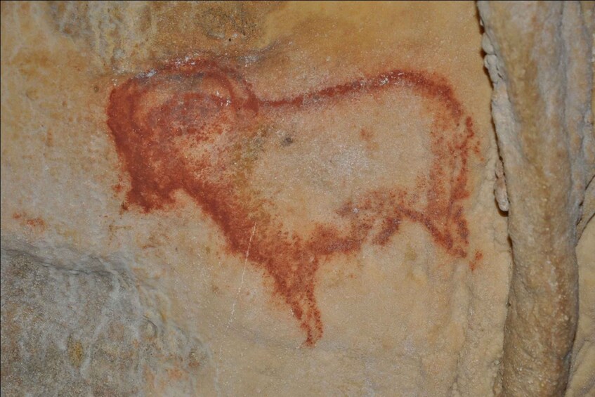 Picture 6 for Activity Sarlat : Private Tour to an Original Prehistoric Cave