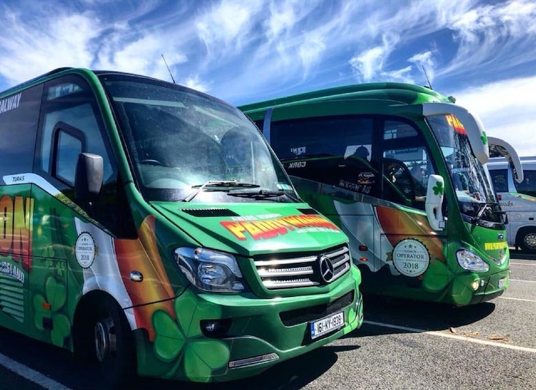 Picture 7 for Activity Cliffs of Moher and More: Full-Day Tour from Cork