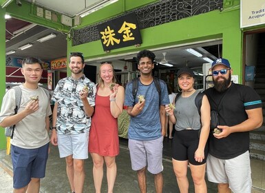 Singapore: Katong Local Food and City Highlights Tour