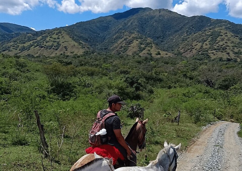 Picture 4 for Activity Desde Medellín:Tour a caballo+Visita Santa Fe de Antioquia