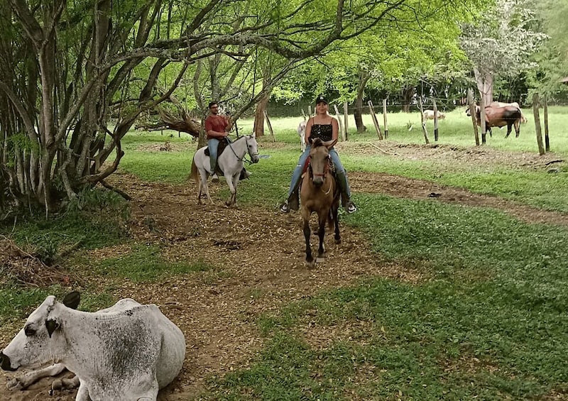 Desde Medellín:Tour a caballo+Visita Santa Fe de Antioquia