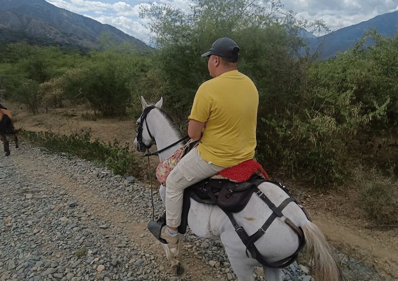 Picture 2 for Activity Desde Medellín:Tour a caballo+Visita Santa Fe de Antioquia