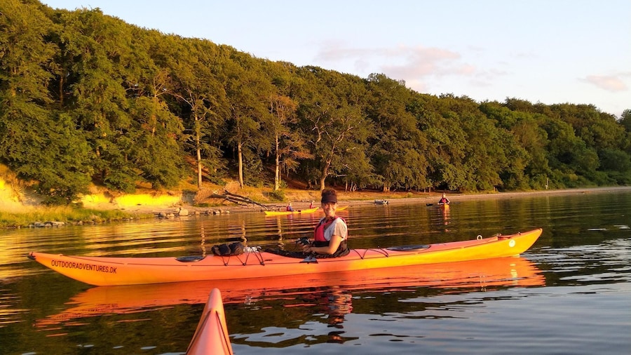 Roskilde: Guided kayaking on Roskilde Fjord: Private tour