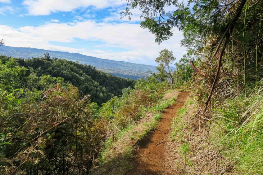 Picture 8 for Activity Group Hiking at Dimitile, Reunion Island.