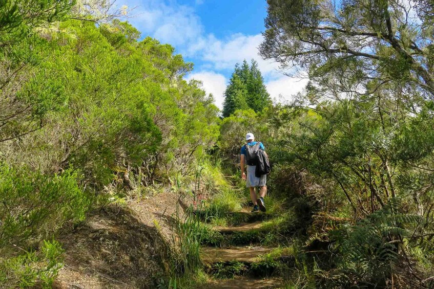 Picture 11 for Activity Group Hiking at Dimitile, Reunion Island.