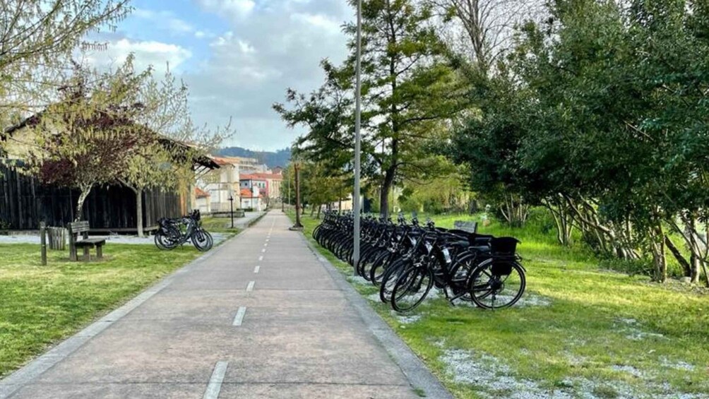 Picture 1 for Activity Rent-a-bike: Explore 40 km of the old Tâmega railway line