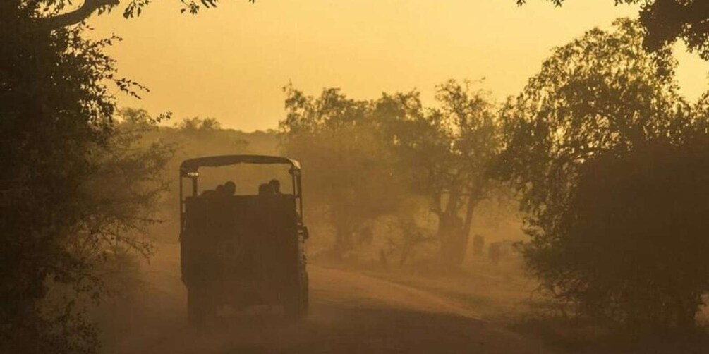 Yala: Night Drive in Yala National Park Buffer Zone!