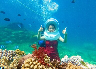 Tour Sea-Walking Nha Trang