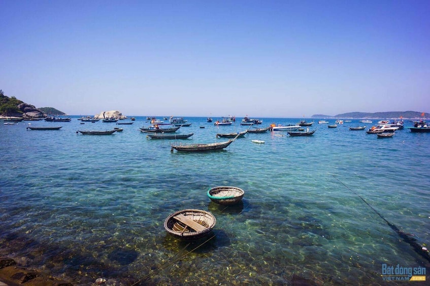 Picture 10 for Activity Cham Island Snorkeling tour by Speed Boat From Hoi An/DaNang