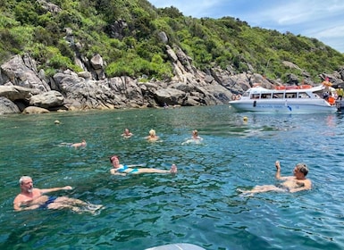 Snorkeling sur l'île de Cham excursion en bateau rapide depuis Hoi An/DaNan...