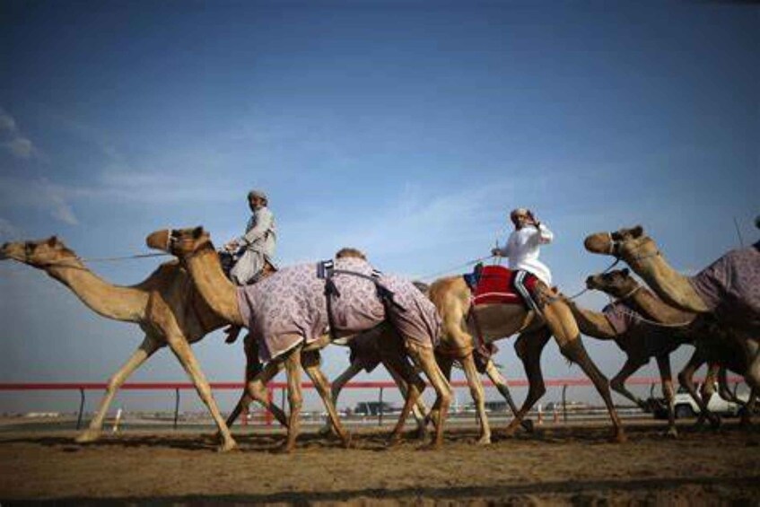 Picture 3 for Activity From Doha: Full-Day Desert Safari, Camel Ride & Dune Bashing