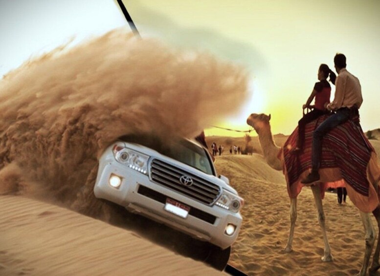 From Doha: Full-Day Desert Safari, Camel Ride & Dune Bashing