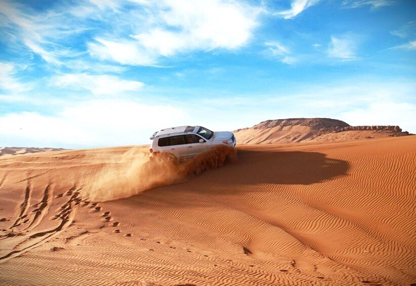 Picture 5 for Activity From Doha: Full-Day Desert Safari, Camel Ride & Dune Bashing