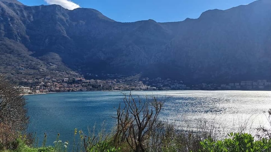 From Dubrovnik: Montenegro Full-Day Tour