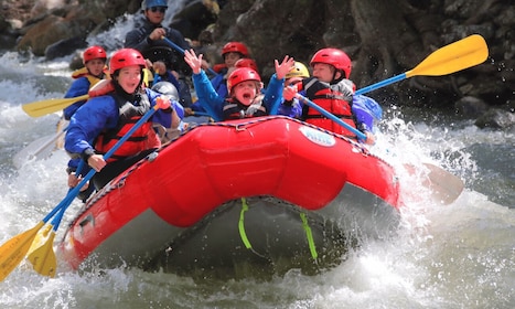 Big Sky: Halbtägige Rafting-Tour auf dem Gallatin River (Klasse II-IV)