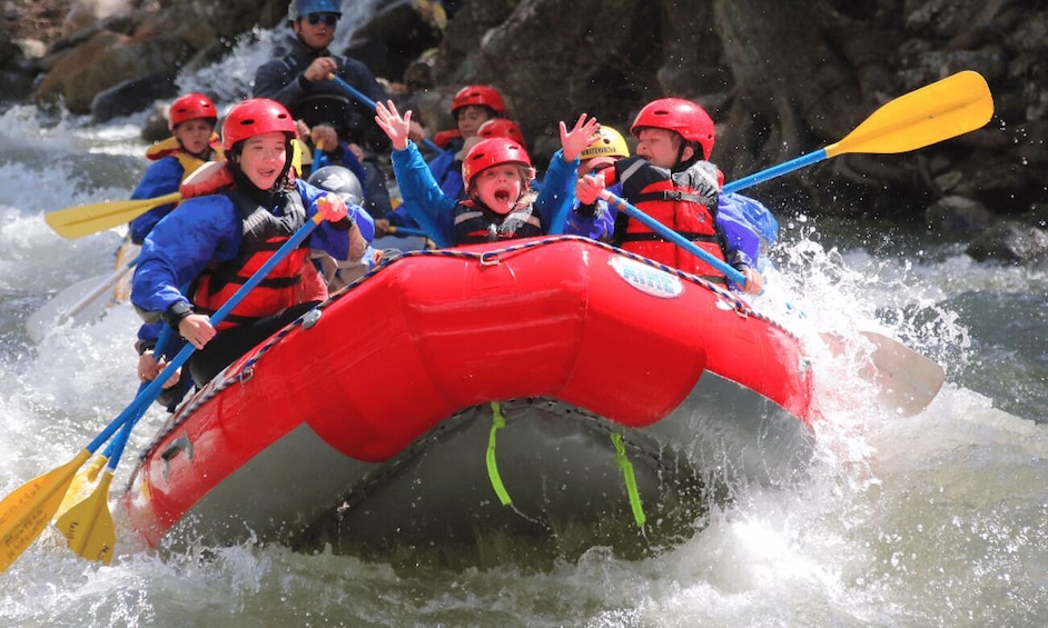 Big Sky: Half-Day Gallatin River (Class II-IV) Rafting Trip