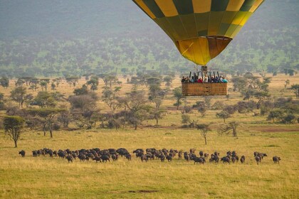 จากแซนซิบาร์: ส่วนตัว 4 วัน Serengeti & Ngorongoro Safari