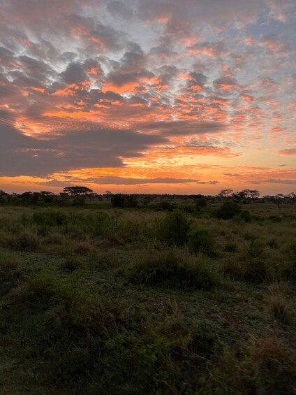 Picture 19 for Activity From Zanzibar: Private 4-Day Serengeti & Ngorongoro Safari