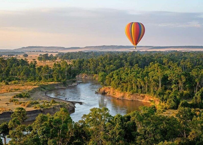 Picture 6 for Activity From Zanzibar: Private 4-Day Serengeti & Ngorongoro Safari