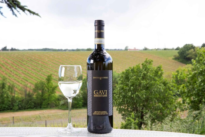 Picture 3 for Activity Tenuta San Lorenzo: classic wine tasting and winery tour