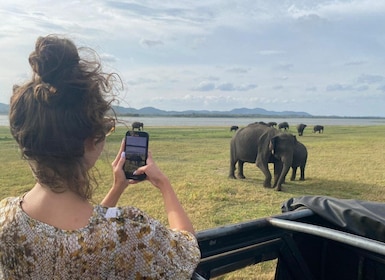 8 Tage Rundreise durch die wunderschöne Natur Sri Lankas