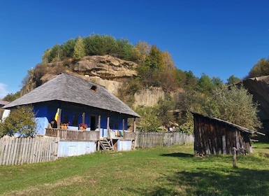 From Bucharest: Carpathian Villages and Sinaia Day Trip