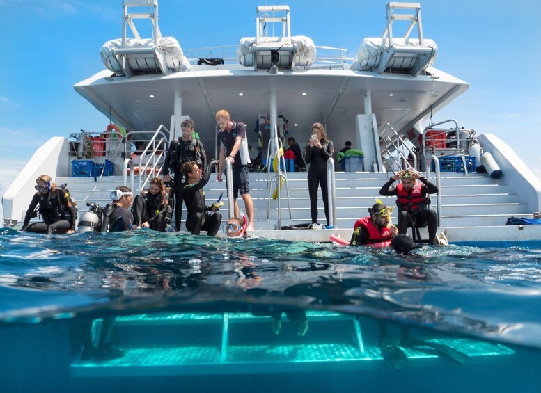 Picture 1 for Activity Cairns Great Barrier Reef: Snorkel Day Trip