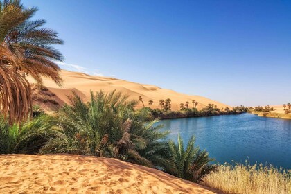 Depuis Agadir/Taghazout : dunes de sable du Sahara avec transfert